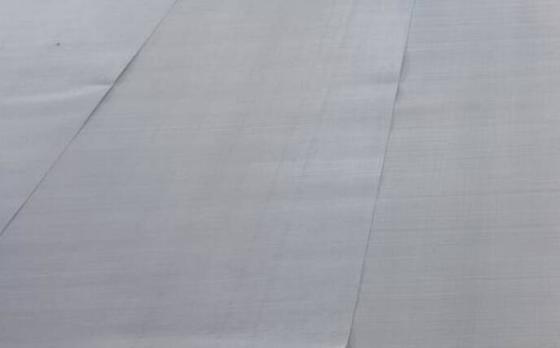 Stainless Steel Security Fly Screen Mesh With Plain Weave & Powder Coating