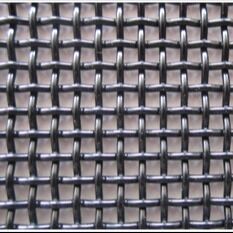 Stainless Steel 304 316 Security Mesh with Anti-Rust and Heat Resistance Square Hole Insect Mosquito Screen
