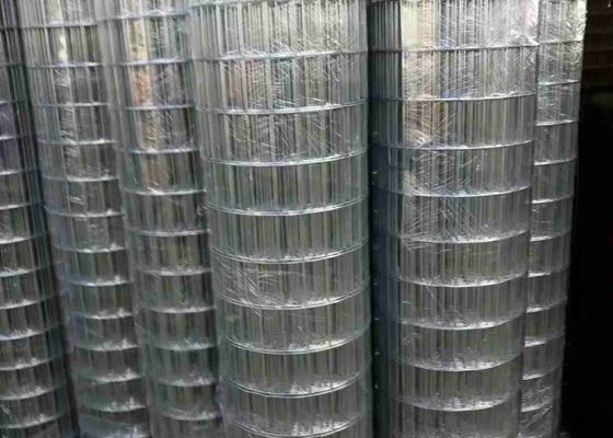 100 x 50 galvanizados elétricos superfície soldada de Mesh Bright Color And Smooth